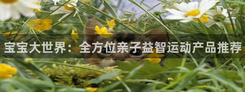 zoty中欧体育官网下载招商电话号码查询:宝宝大世界:全方位